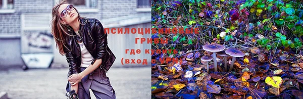гидропоника Аркадак